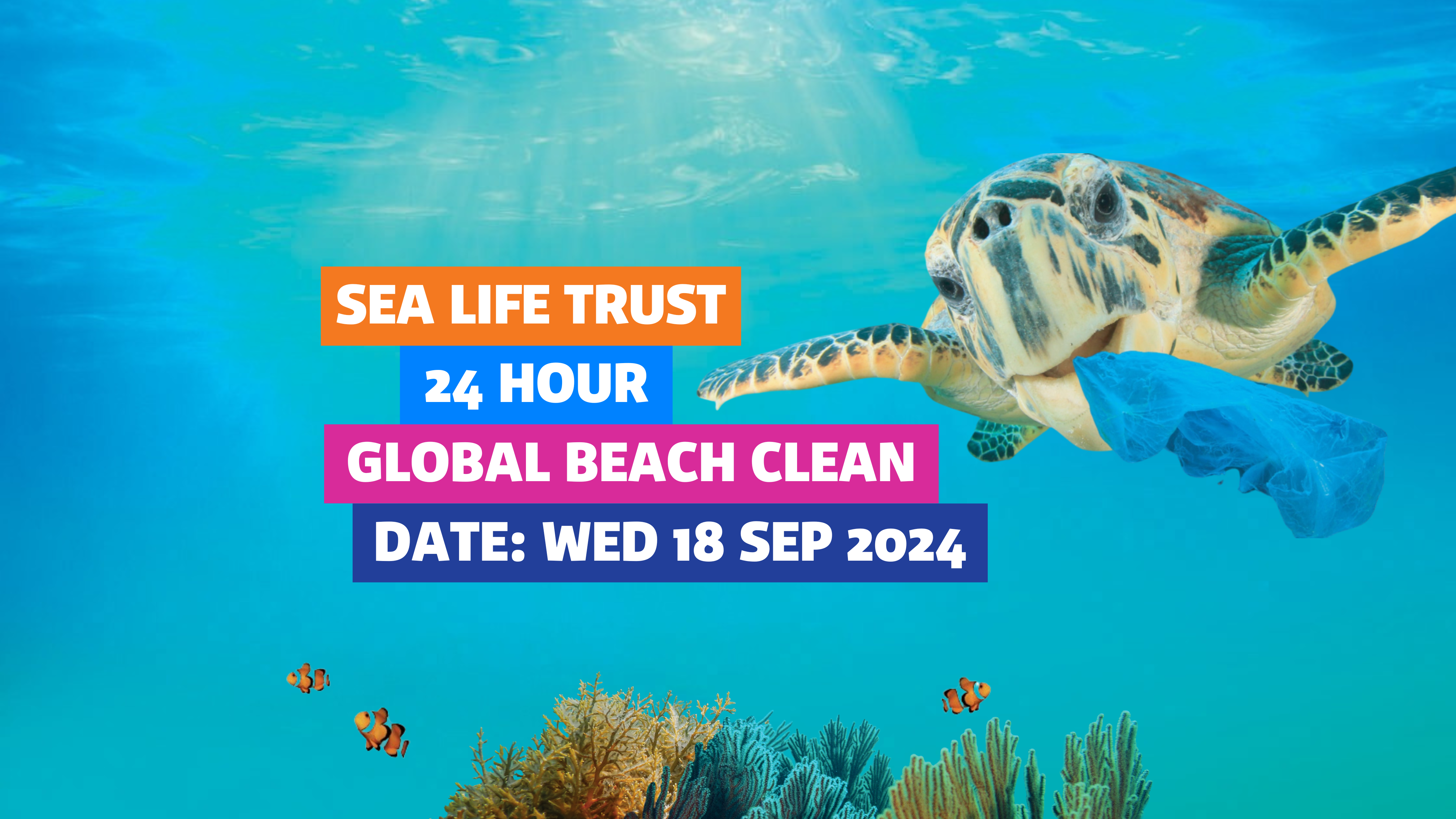 SEA LIFE TRUST Global Beach Clean